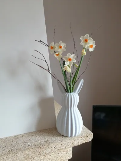 https://makerworld.bblmw.com/makerworld/comment/20260310/779162246/61d391213995cf55.jpg