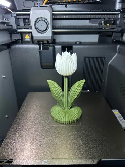 https://makerworld.bblmw.com/makerworld/comment/20260310/795349027/c48ebb88198e3390.jpg