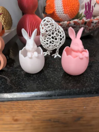 https://makerworld.bblmw.com/makerworld/comment/20260310/978869145/6ea9a2be46c13647.jpg