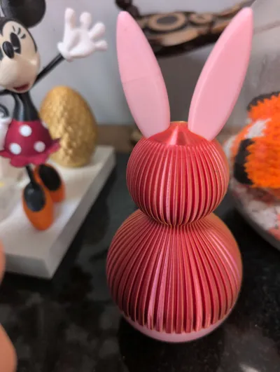 https://makerworld.bblmw.com/makerworld/comment/20260310/978869145/72502162679d001e.jpg