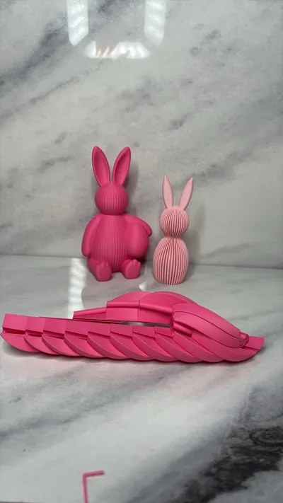 https://makerworld.bblmw.com/makerworld/comment/20260310/994419331/312b6e4dabf269af.jpg