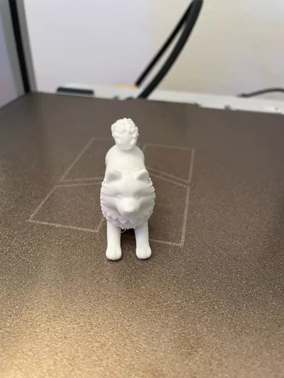 https://makerworld.bblmw.com/makerworld/comment/20260311/1510968758/249002e749969201.jpg