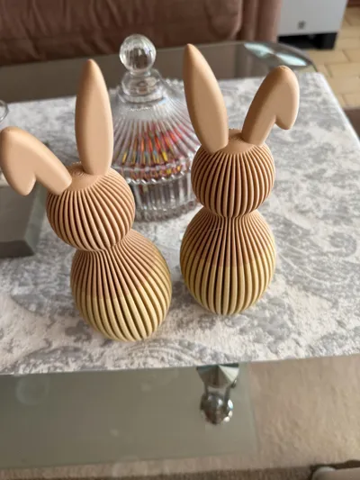 https://makerworld.bblmw.com/makerworld/comment/20260311/167420990/7baa6aeb5b2bc774.jpg