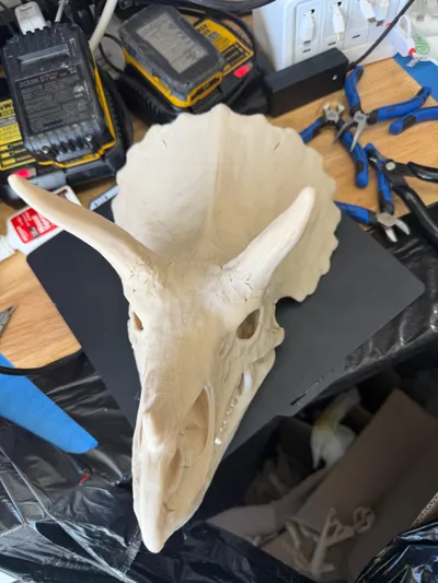 https://makerworld.bblmw.com/makerworld/comment/20260311/1882347967/5c7cdac4597b9fdc.jpg