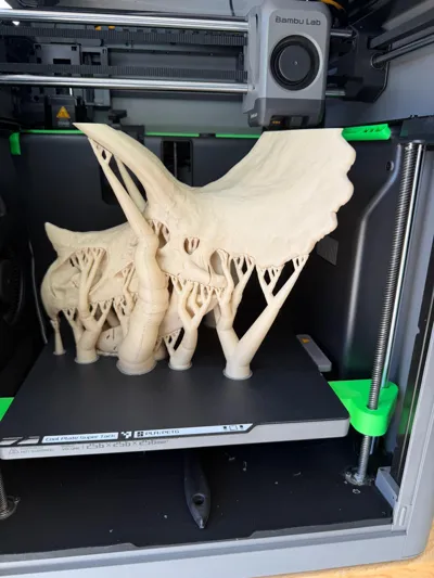 https://makerworld.bblmw.com/makerworld/comment/20260311/1882347967/6733183eadfd34ed.jpg