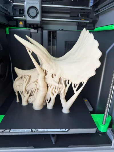 https://makerworld.bblmw.com/makerworld/comment/20260311/1882347967/9dc5e25fb575138b.jpg