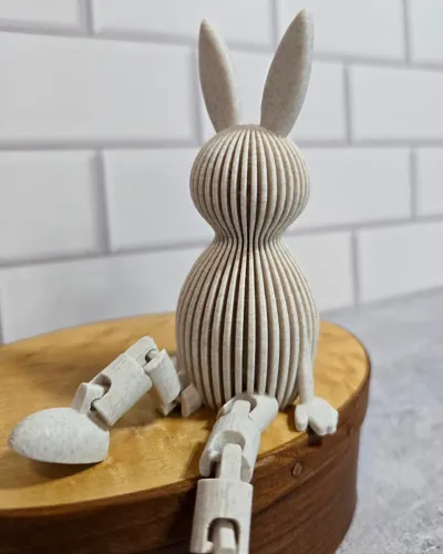 https://makerworld.bblmw.com/makerworld/comment/20260311/228375109/7e96c310c0974b3f.jpg