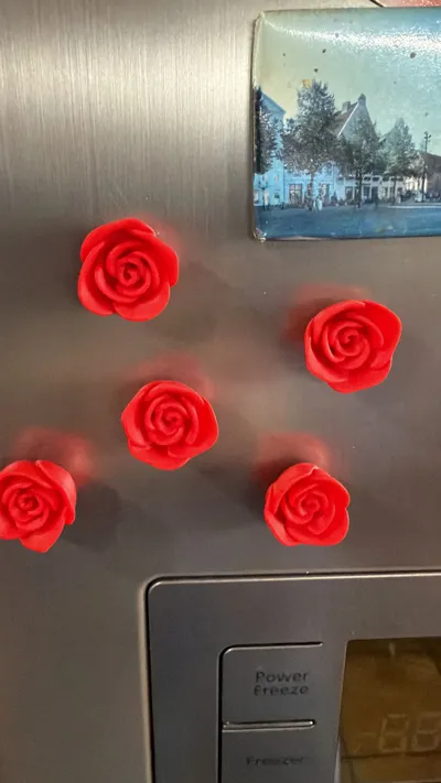 https://makerworld.bblmw.com/makerworld/comment/20260311/4082365302/4961468e4e041883.jpg