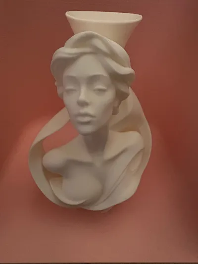 https://makerworld.bblmw.com/makerworld/comment/20260311/408846587/60951ddc151e387b.jpg