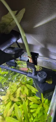 https://makerworld.bblmw.com/makerworld/comment/20260311/517978807/9227b8059b15411d.jpg