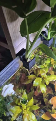 https://makerworld.bblmw.com/makerworld/comment/20260311/517978807/cf9ac7a7bf971d7e.jpg