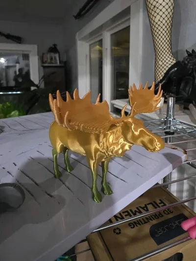 https://makerworld.bblmw.com/makerworld/comment/20260311/526527989/11f07106202053ae.jpg