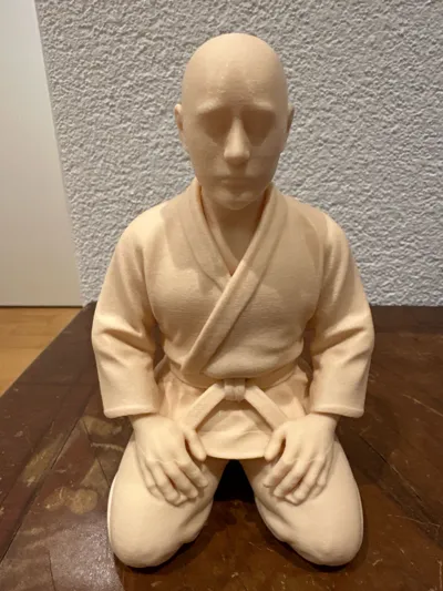https://makerworld.bblmw.com/makerworld/comment/20260311/539004956/e5a8e4ec4c3b7cf8.jpg