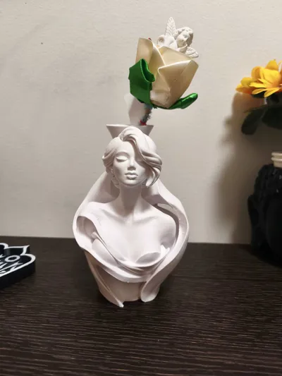 https://makerworld.bblmw.com/makerworld/comment/20260311/612428247/ba63ed3b3d260b04.jpg