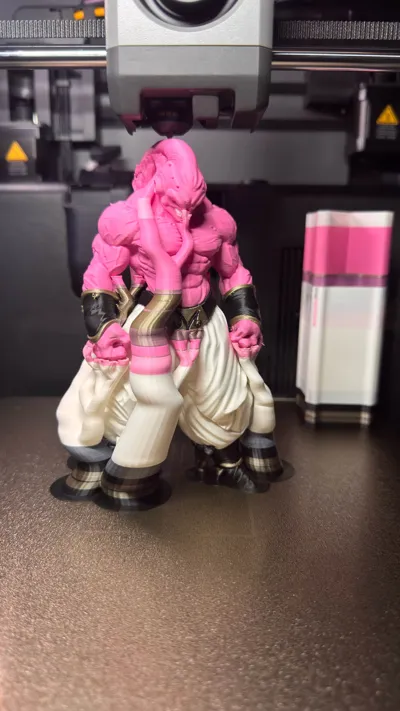 https://makerworld.bblmw.com/makerworld/comment/20260312/162868684/ba42718b8741db8d.jpg