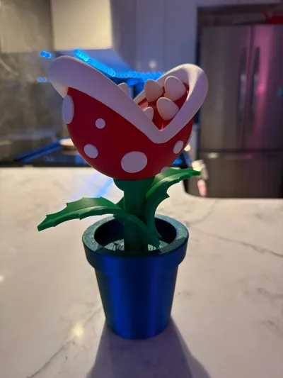 https://makerworld.bblmw.com/makerworld/comment/20260312/1714706674/4bf2063d7fd0af45.jpg