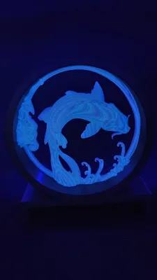 https://makerworld.bblmw.com/makerworld/comment/20260312/1897505678/2d50c55eafb5e774.jpg