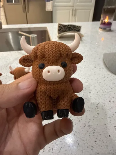 https://makerworld.bblmw.com/makerworld/comment/20260312/1949725235/6c6644319316f6a1.jpg