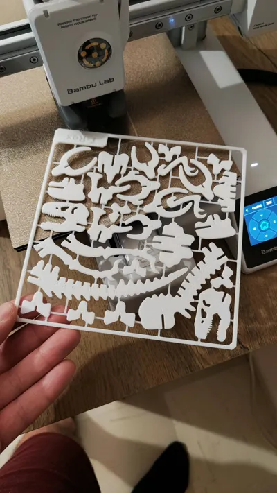 https://makerworld.bblmw.com/makerworld/comment/20260312/2293208833/94946a64adbd0a18.jpg
