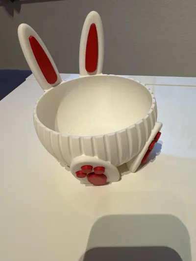 https://makerworld.bblmw.com/makerworld/comment/20260312/2646319704/ed60b2e15756132f.jpg