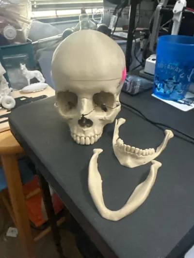 https://makerworld.bblmw.com/makerworld/comment/20260312/3079834913/92633b81cb1188bb.jpg