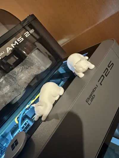 https://makerworld.bblmw.com/makerworld/comment/20260312/3081031401/ef60428f4a325e4a.jpg