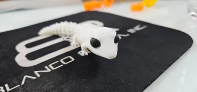 https://makerworld.bblmw.com/makerworld/comment/20260312/3880705071/43b53fbf7ae01d0c.jpeg