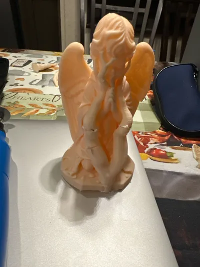 https://makerworld.bblmw.com/makerworld/comment/20260312/3917680390/00914dc41d910196.jpg