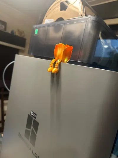 https://makerworld.bblmw.com/makerworld/comment/20260312/3917680390/3339732cca8aaae7.jpg