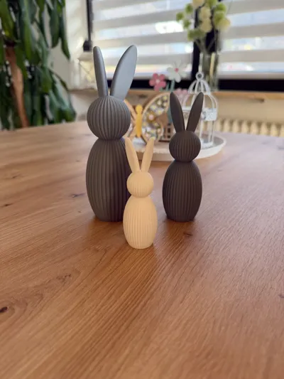 https://makerworld.bblmw.com/makerworld/comment/20260312/3922090466/5e80a871df506c86.jpg