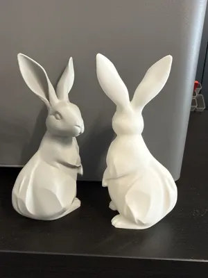 https://makerworld.bblmw.com/makerworld/comment/20260312/4148046485/263b0d3f8b6a8a68.jpg