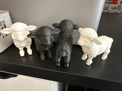 https://makerworld.bblmw.com/makerworld/comment/20260312/4148046485/3ba0203579d7eb44.jpg