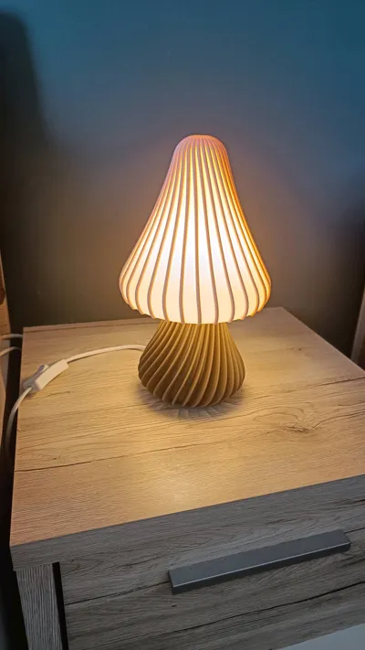 https://makerworld.bblmw.com/makerworld/comment/20260312/463468889/4f1eb8d13944f4b3.jpg