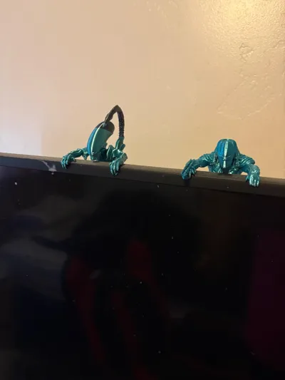 https://makerworld.bblmw.com/makerworld/comment/20260312/735542293/f3c2661e208d3040.jpg