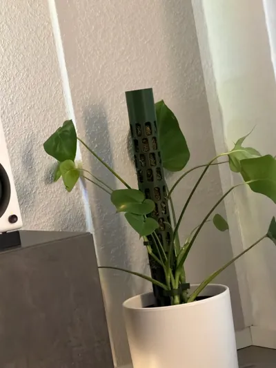 https://makerworld.bblmw.com/makerworld/comment/20260312/938496348/b7e22620f4652dae.jpg