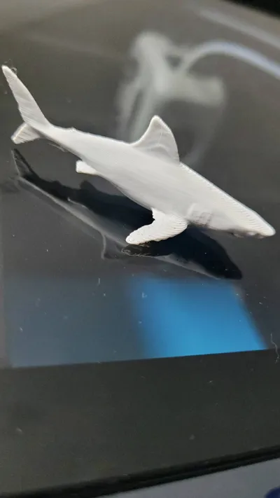 https://makerworld.bblmw.com/makerworld/comment/20260313/1699091388/75442f7159c052d9.jpg