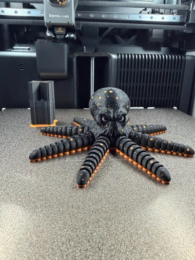 https://makerworld.bblmw.com/makerworld/comment/20260313/1778892403/2c7b233dfca53cac.jpg