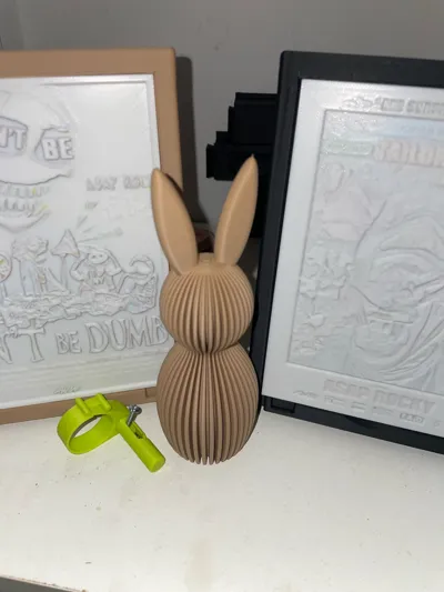 https://makerworld.bblmw.com/makerworld/comment/20260313/1945616459/ac0ce427da508ec9.jpg