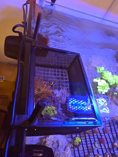 https://makerworld.bblmw.com/makerworld/comment/20260313/2170849113/6889c230375daf4c.jpeg