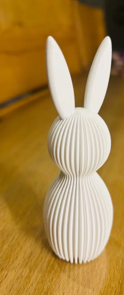 https://makerworld.bblmw.com/makerworld/comment/20260313/2547628359/0299ad89e1dbf2e0.jpg