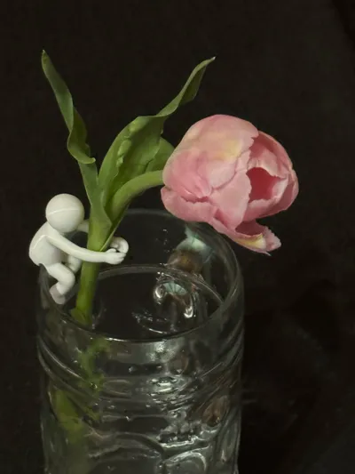https://makerworld.bblmw.com/makerworld/comment/20260313/2572738124/85b9f5ad857c0da6.jpg