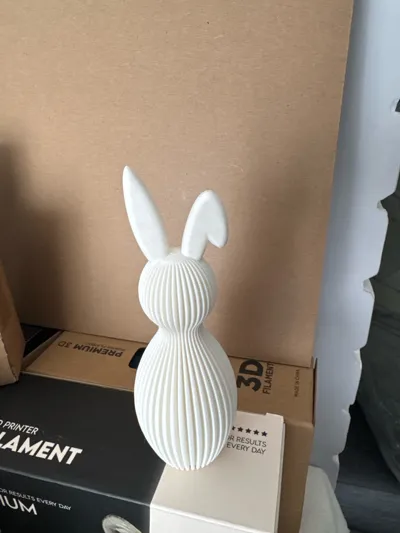 https://makerworld.bblmw.com/makerworld/comment/20260313/270282788/072b8478ed7b0d87.jpg