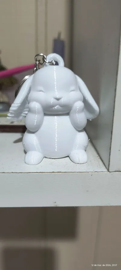 https://makerworld.bblmw.com/makerworld/comment/20260313/2722329060/a0469cdd892cb1c2.jpg