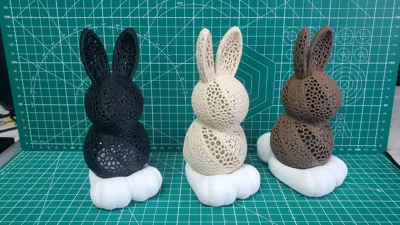 https://makerworld.bblmw.com/makerworld/comment/20260313/2805537745/dba505c2aa97242a.jpg