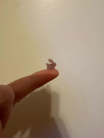 https://makerworld.bblmw.com/makerworld/comment/20260313/2946673125/eb7a8ec2d6248a69.jpg