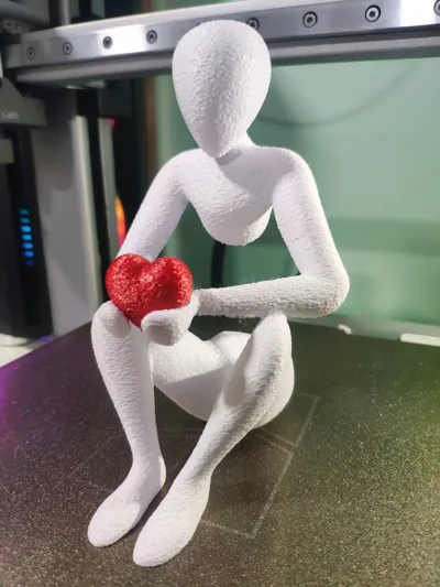 https://makerworld.bblmw.com/makerworld/comment/20260313/3070635144/b204180573761915.jpg