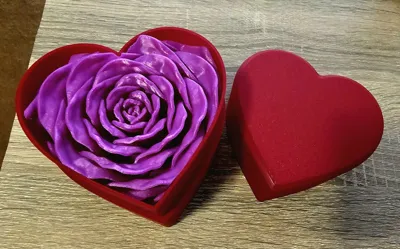 https://makerworld.bblmw.com/makerworld/comment/20260313/3073134890/20cb53dbd5f2caa5.jpg