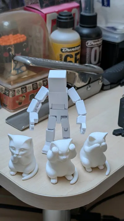 https://makerworld.bblmw.com/makerworld/comment/20260313/3585170661/868aa68e65be182d.jpg