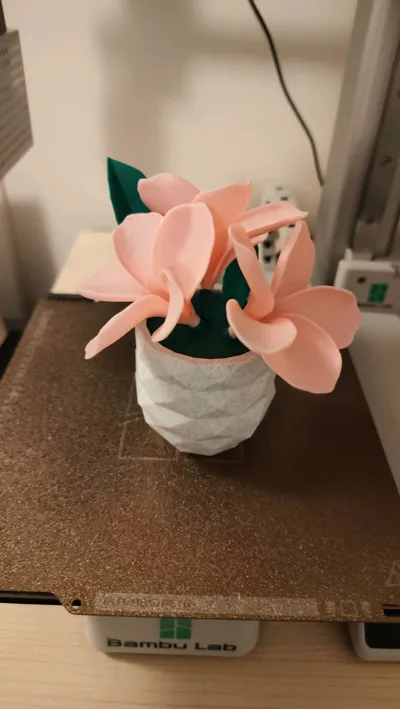 https://makerworld.bblmw.com/makerworld/comment/20260313/3596561368/137bd0d2b6fc6997.jpg