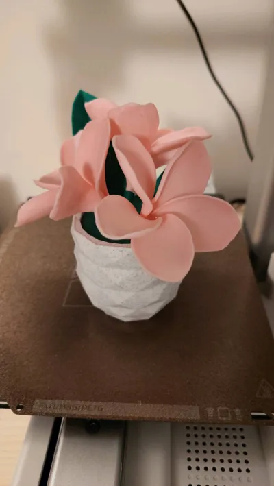https://makerworld.bblmw.com/makerworld/comment/20260313/3596561368/6ce3e699de7f7fb7.jpg